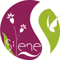 Silene