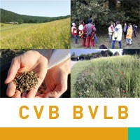CVB BVLB