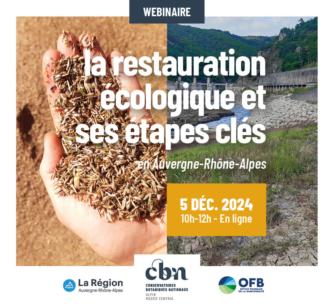 Wébinaire « la restauration écologique et ses étapes clés » à destination des bureaux d’étude de la région Auvergne Rhône-Alpes le 5 décembre de 10 h à 12 h