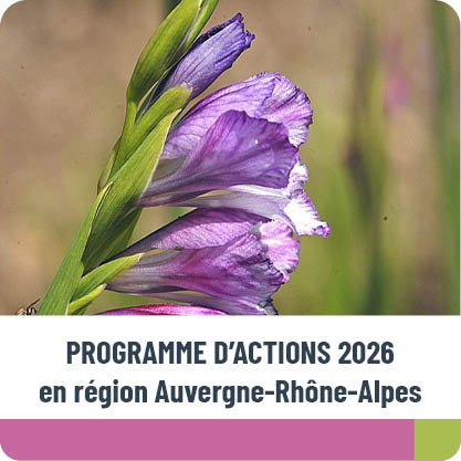Programme d’actions 2026 du Conservatoire botanique national alpin en Région Auvergne-Rhône-Alpes