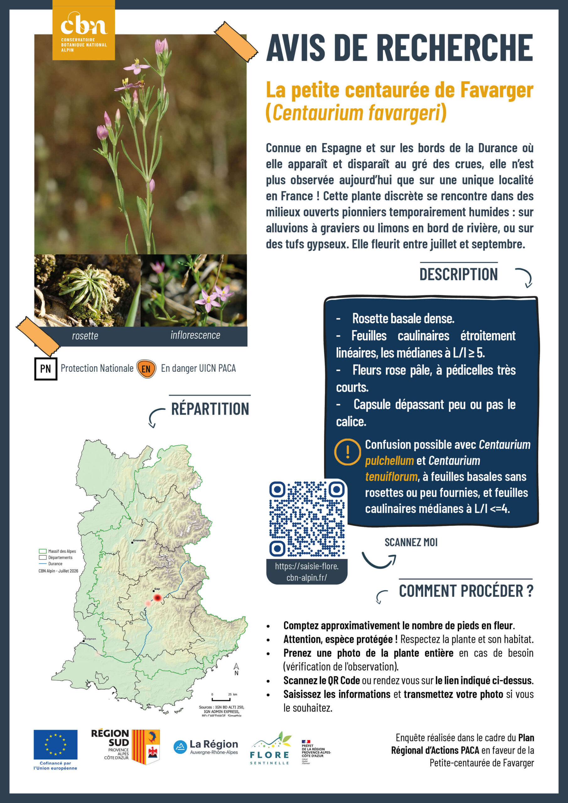 Avis de recherche : Centaurium favargeri