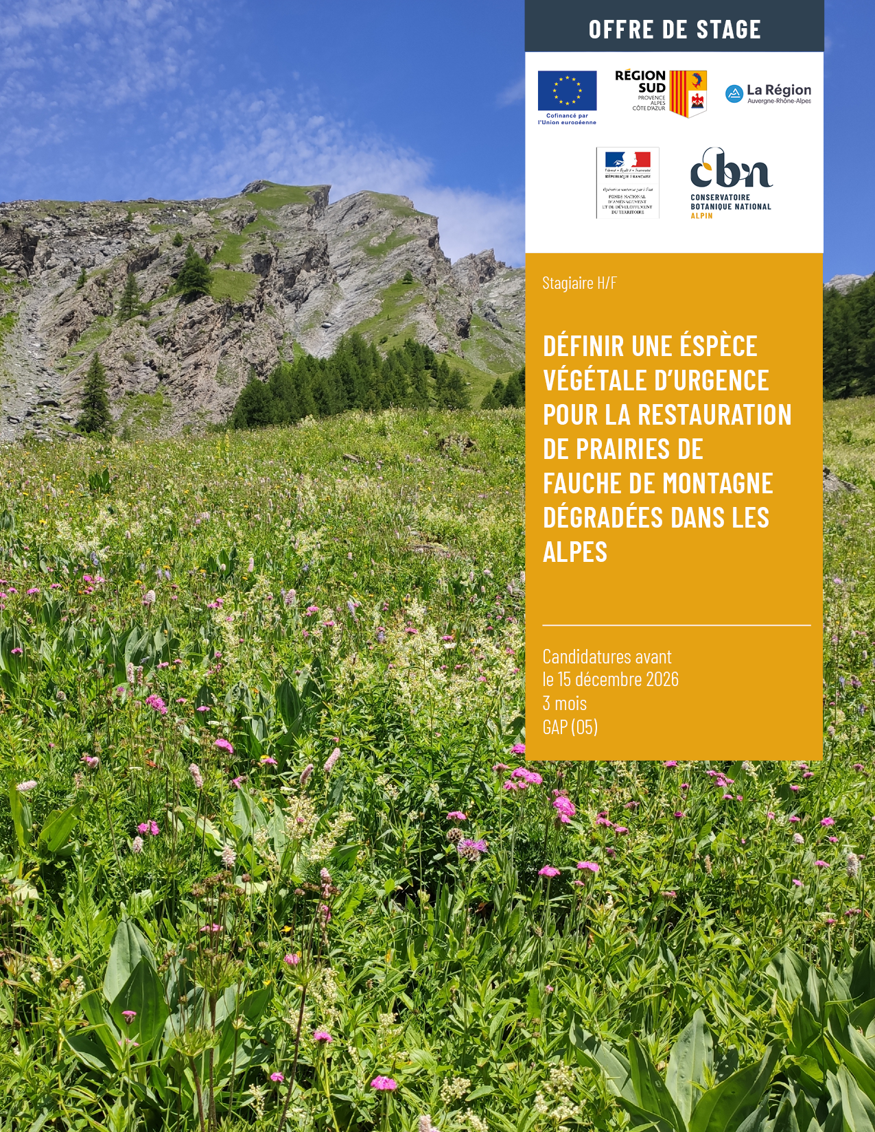 Offre de stage :  Définir une espèce végétale d&rsquo;urgence pour la restauration de prairies de fauche de montagne dégradées dans les Alpes