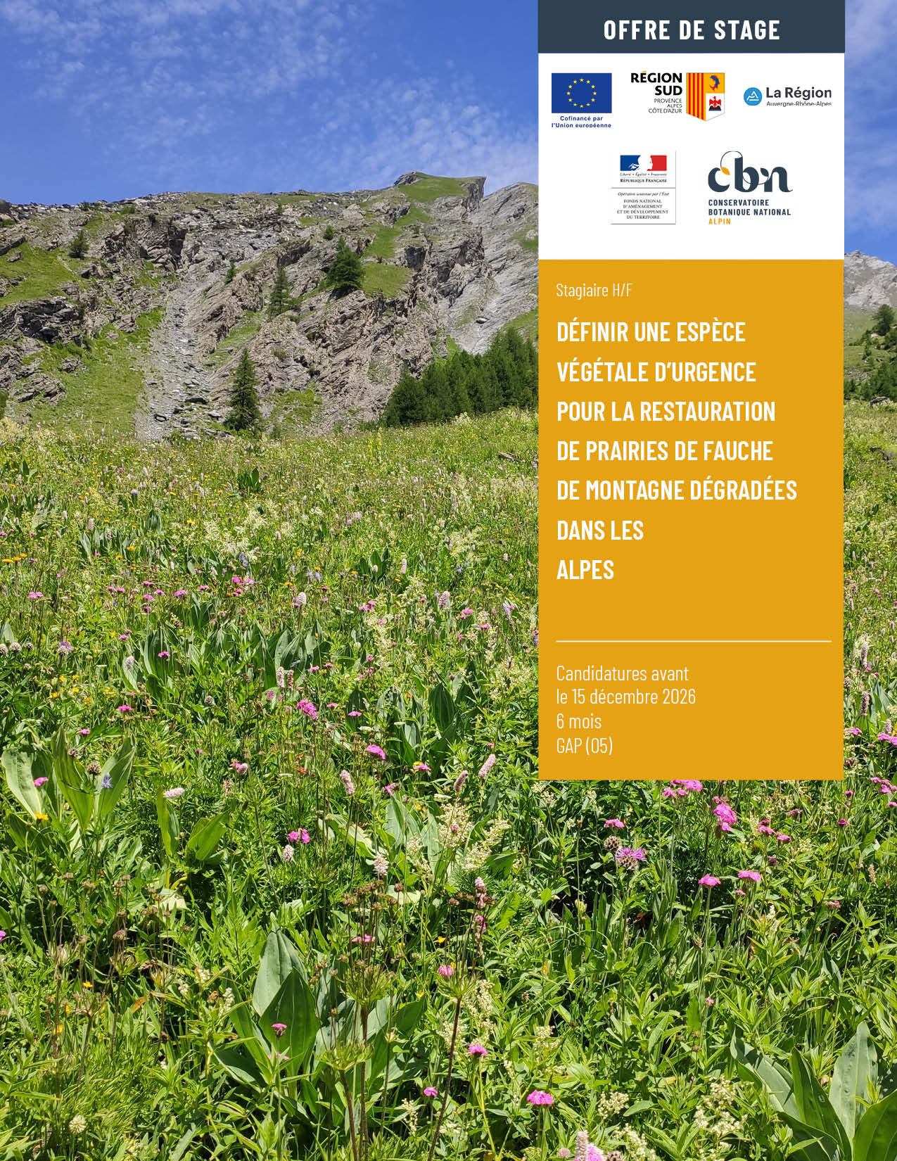 Offre de stage :  Définir une espèce végétale d&rsquo;urgence pour la restauration de prairies de fauche de montagne dégradées dans les Alpes