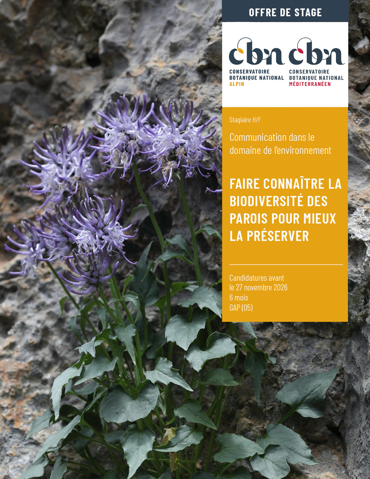 Offre de stage : faire connaître la biodiversité des parois pour mieux la préserver